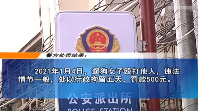 郑州一宠物狗乱跑吓到人狗主人要求给狗道歉拒绝后被按到地上打