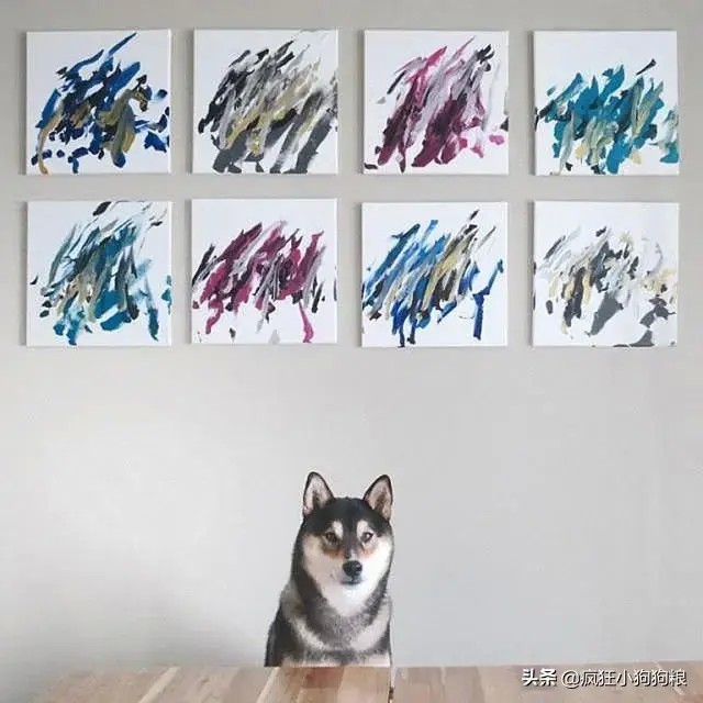 工作犬见多了，画家犬见过没？靠画画卖钱买肉吃，还热衷公益