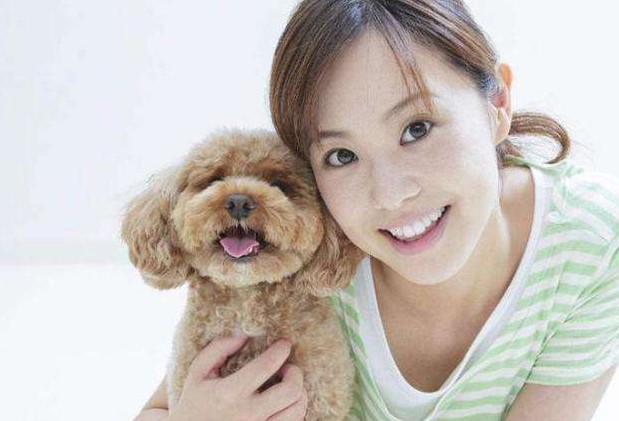 贵宾犬没有想象中好养，如果你没注意好这6点，一样养不好