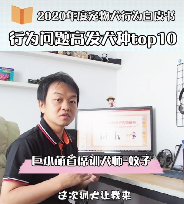 第一次养狗？建议你先看看：影响主人生活的狗狗坏习惯Top10